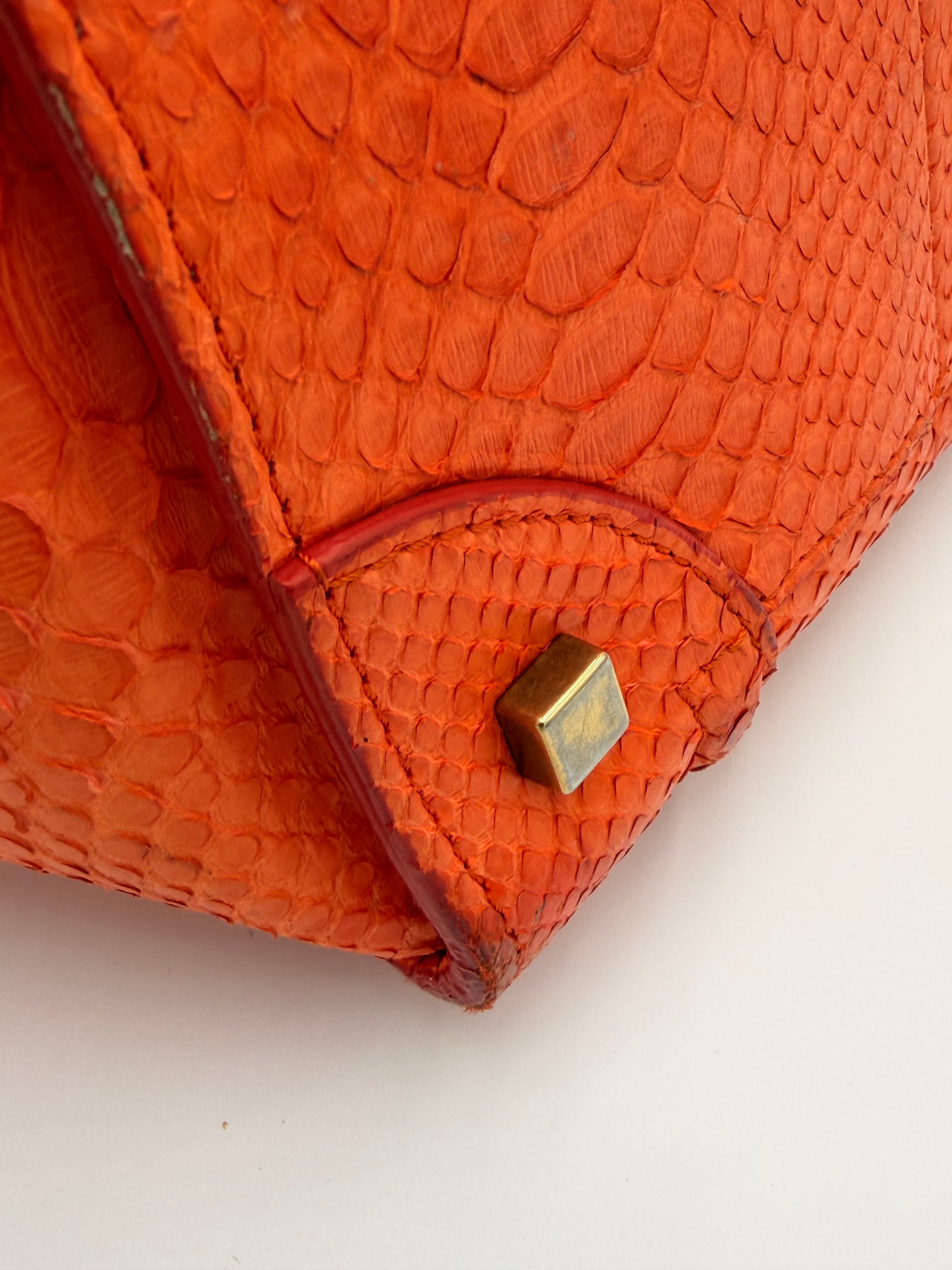 Céline Mini Luggage Tote — Orange Python