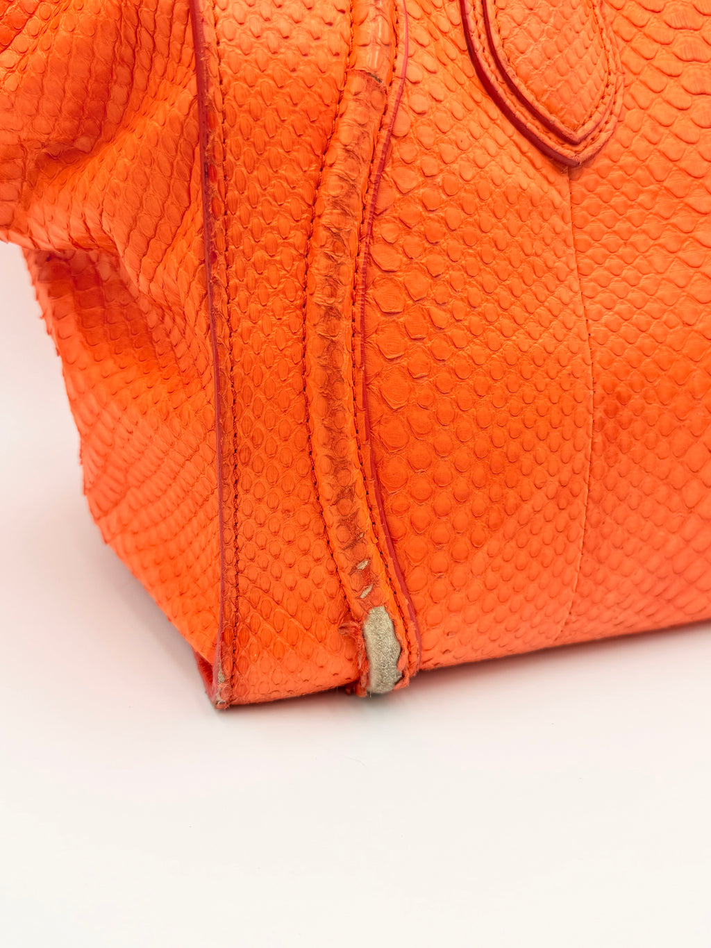 Céline Mini Luggage Tote — Orange Python