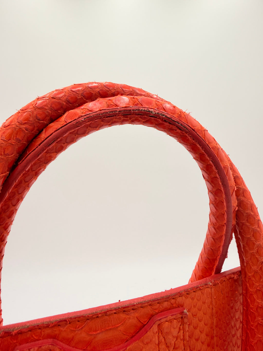 Céline Mini Luggage Tote — Orange Python